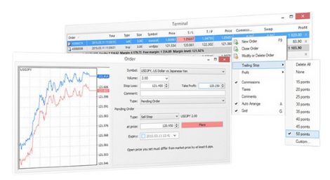 Jendela pengaturan MetaTrader